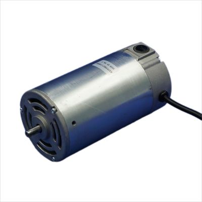83ZYT l'aimant permanent 110v à grande vitesse 220V 100-500W PMDC a balayé le moteur