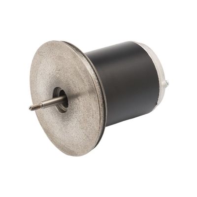 Moteur micro à un aimant permanent de C.C de 83ZYT 110-220V 300w pour la machine de balle de tennis