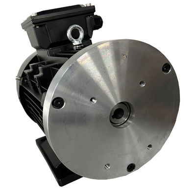 Y100 112 132 Moteur sans balai à aimants permanents à courant continu pour camions hydrauliques guidés AGV