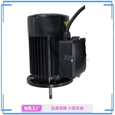Moteur de pompe à eau monophase compact de 1 ch - idéal pour le jardin et la maison