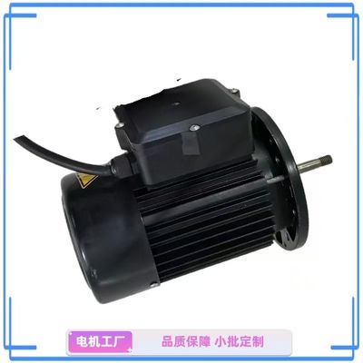 Moteur de pompe à eau monophase compact de 1 ch - idéal pour le jardin et la maison